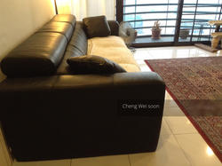 The Tanamera (D16), Condominium #124353982